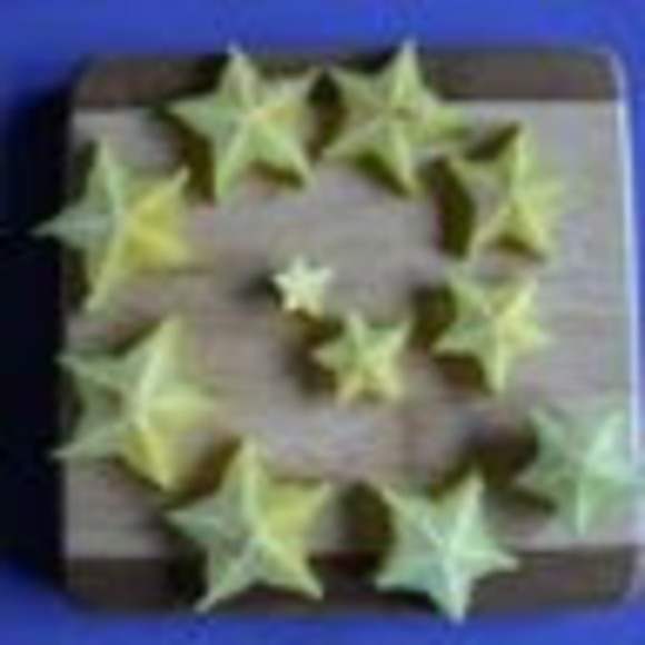 Meet your Posher, Rose - Picture 1 of 1